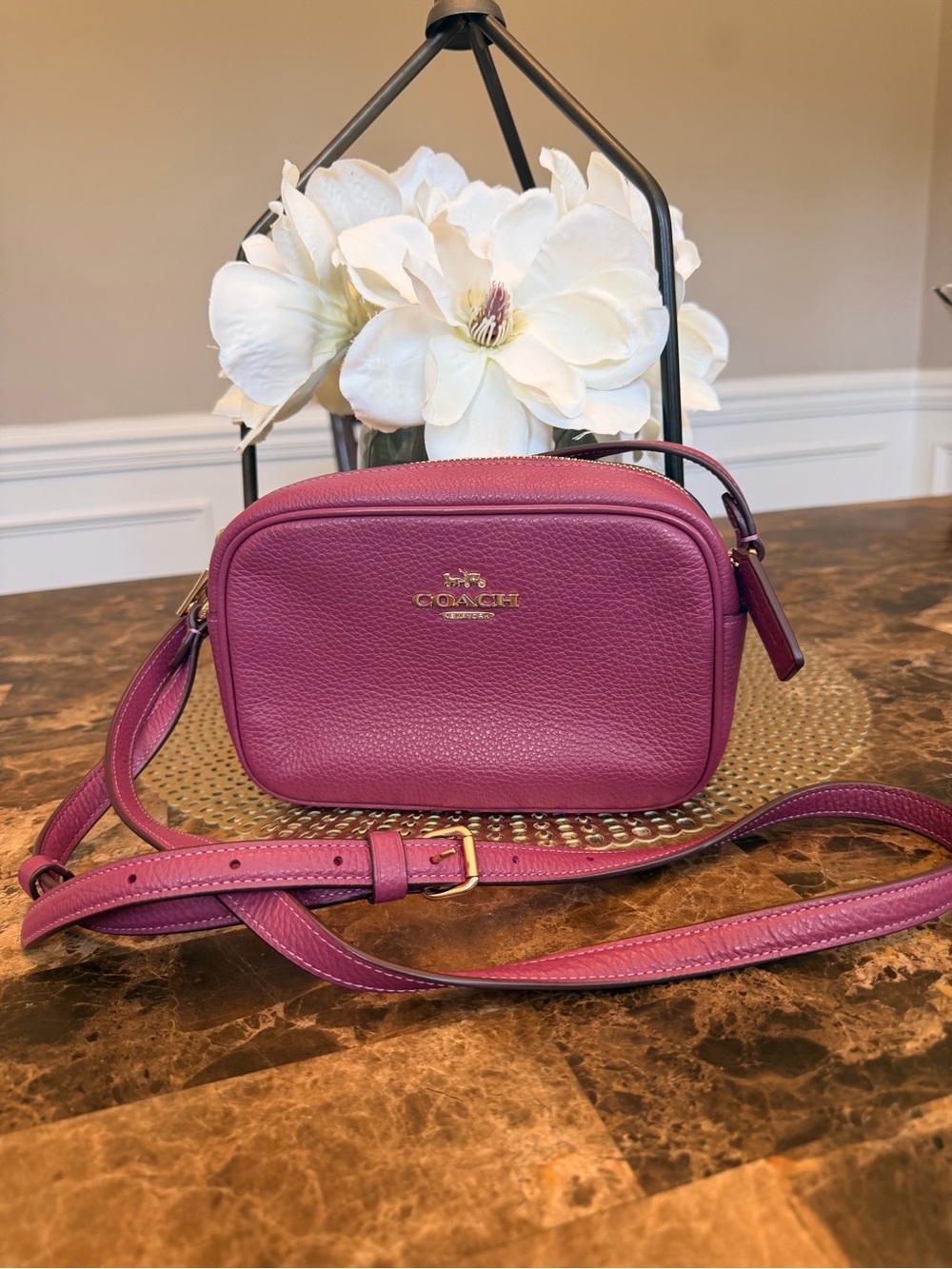 COACH Mini Jamie Camera Bag CQ875 plum berry
